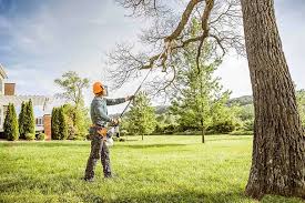 Best Commercial Tree Services  in Deer Park, WA